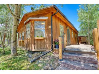 253 W Breed St, Nederland, CO 80466