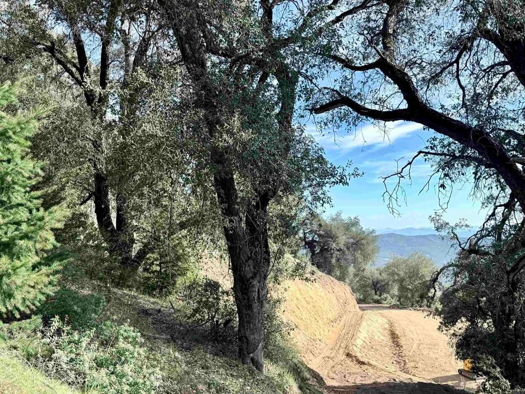 32900 South Grade Road, Palomar Mountain, CA 92060 — photo 5