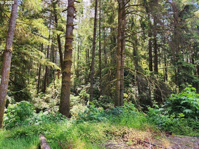 12829 WILDWOOD Dr, North Bend, OR 97459