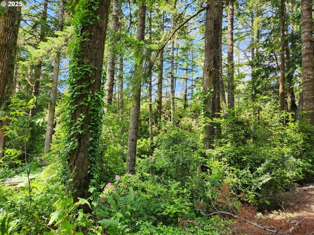 12829 WILDWOOD Dr, North Bend, OR 97459