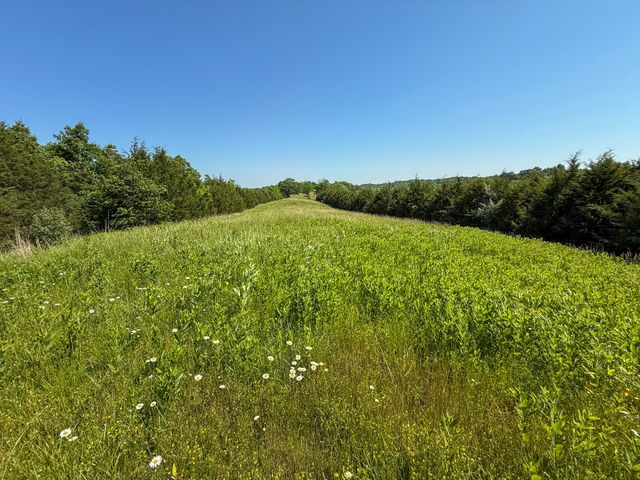 2604 Boyers Chapel Road, Sadieville, KY 40370
