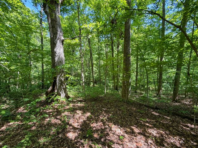 2604 Boyers Chapel Road, Sadieville, KY 40370