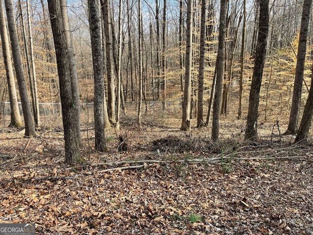 83 Twin Creeks Drive, Bremen, GA 30110