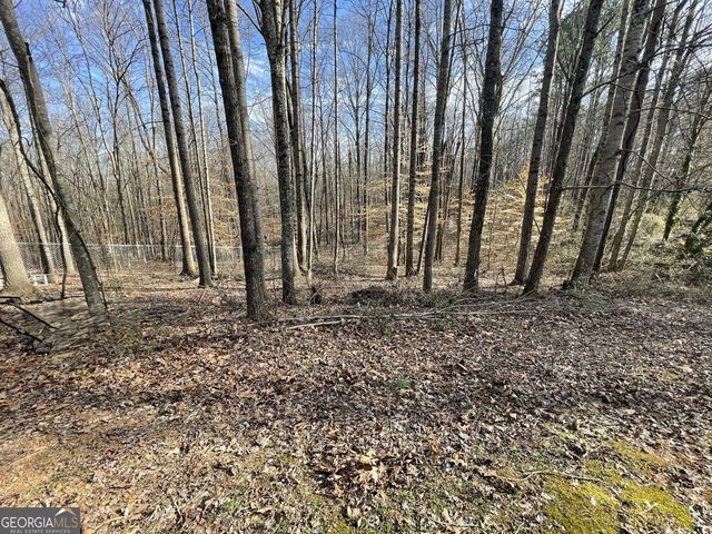 83 Twin Creeks Drive, Bremen, GA 30110