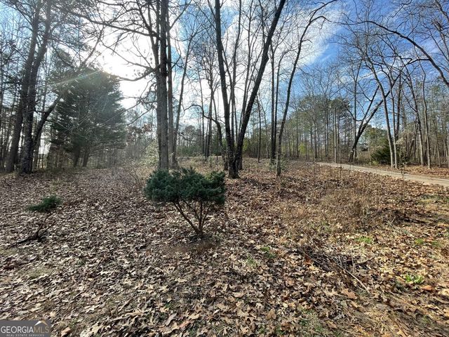 83 Twin Creeks Drive, Bremen, GA 30110