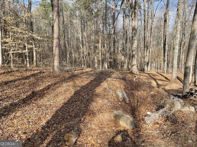 83 Twin Creeks Drive, Bremen, GA 30110