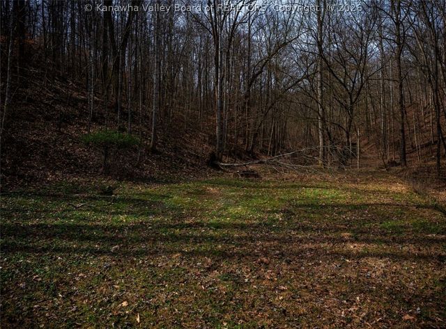 430 FALLS CREEK Road, Tornado, WV 25177