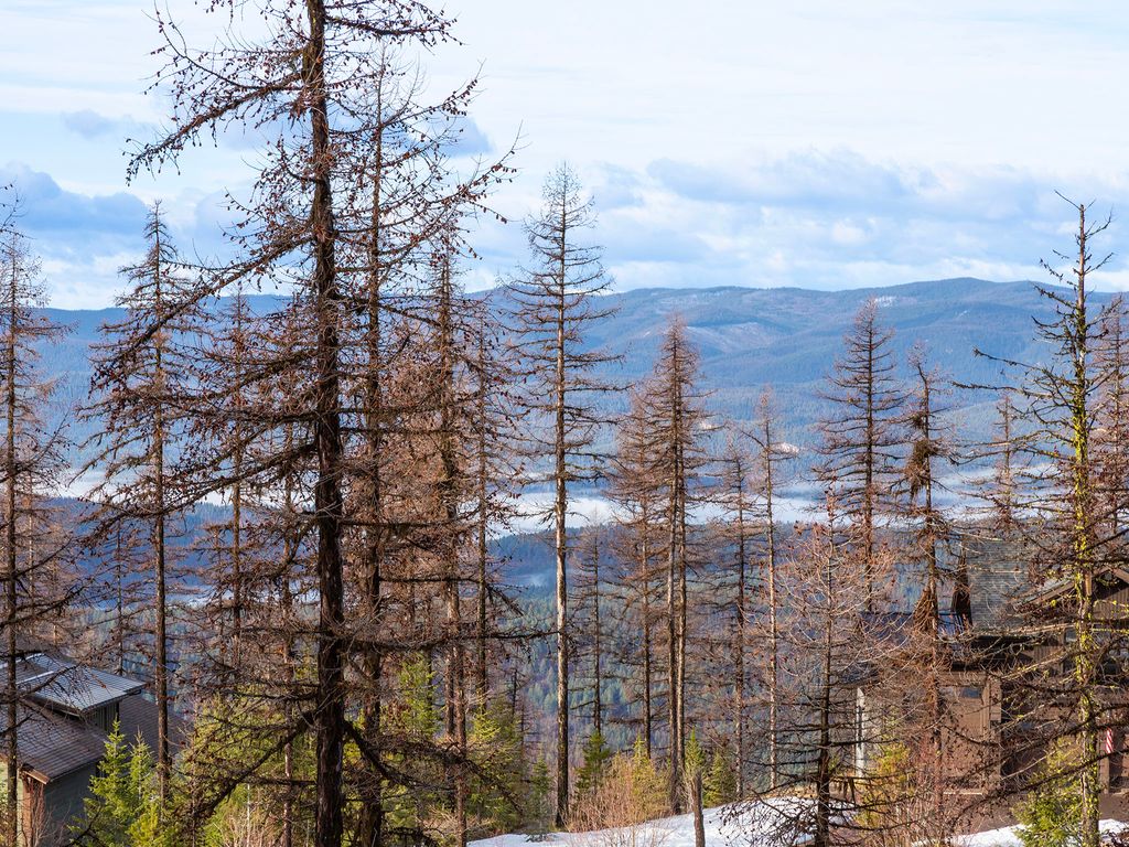 317 Elk Highlands Drive, Whitefish, MT 59937 photo 89