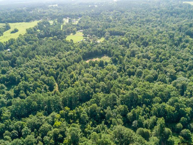 8724 E FM 1649, Gilmer, TX 75645