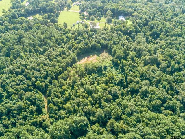 8724 E FM 1649, Gilmer, TX 75645
