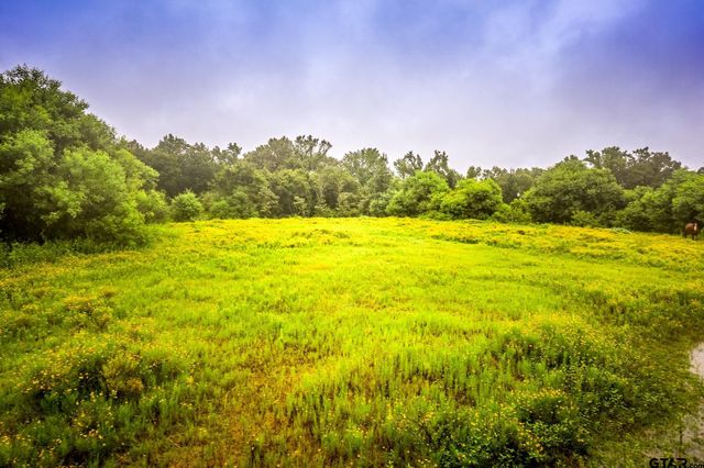 8724 E FM 1649, Gilmer, TX 75645