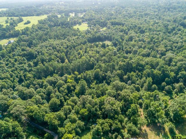 8724 E FM 1649, Gilmer, TX 75645