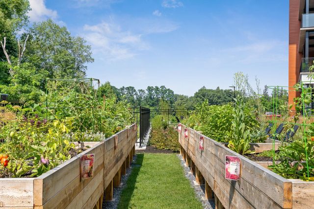 125 Cambrian Way Unit 619, Burlington, VT 05401