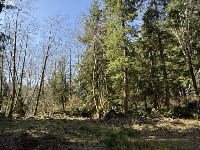 Cinnabar Lot 2, North Bend, OR 97459