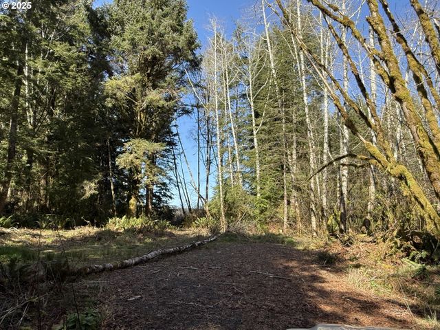 Cinnabar Lot 2, North Bend, OR 97459