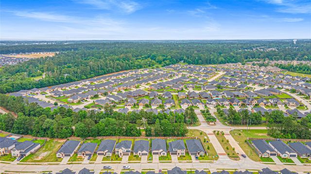 318 Springfield Terrace Drive, Conroe, TX 77304