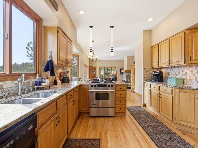 13532 Douglass Ranch Dr, Pine, CO 80470