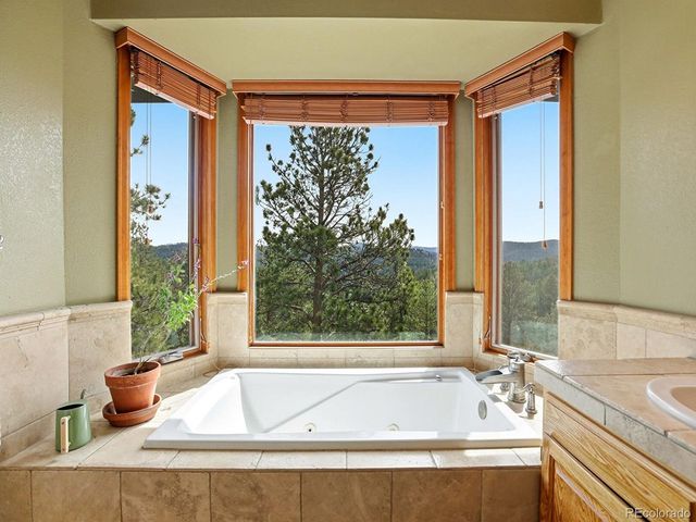 13532 Douglass Ranch Dr, Pine, CO 80470