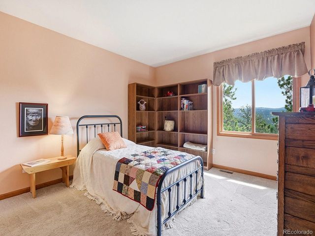 13532 Douglass Ranch Dr, Pine, CO 80470