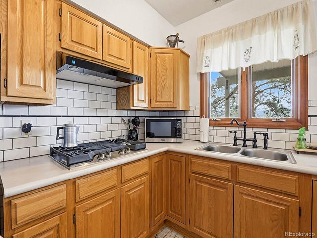 13532 Douglass Ranch Dr, Pine, CO 80470