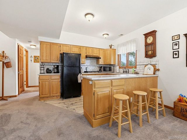 13532 Douglass Ranch Dr, Pine, CO 80470