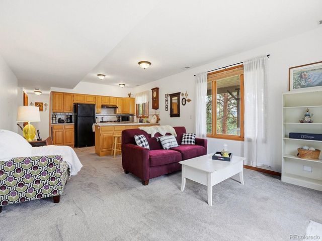 13532 Douglass Ranch Dr, Pine, CO 80470
