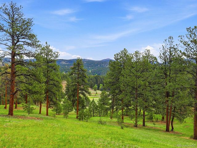 13532 Douglass Ranch Dr, Pine, CO 80470
