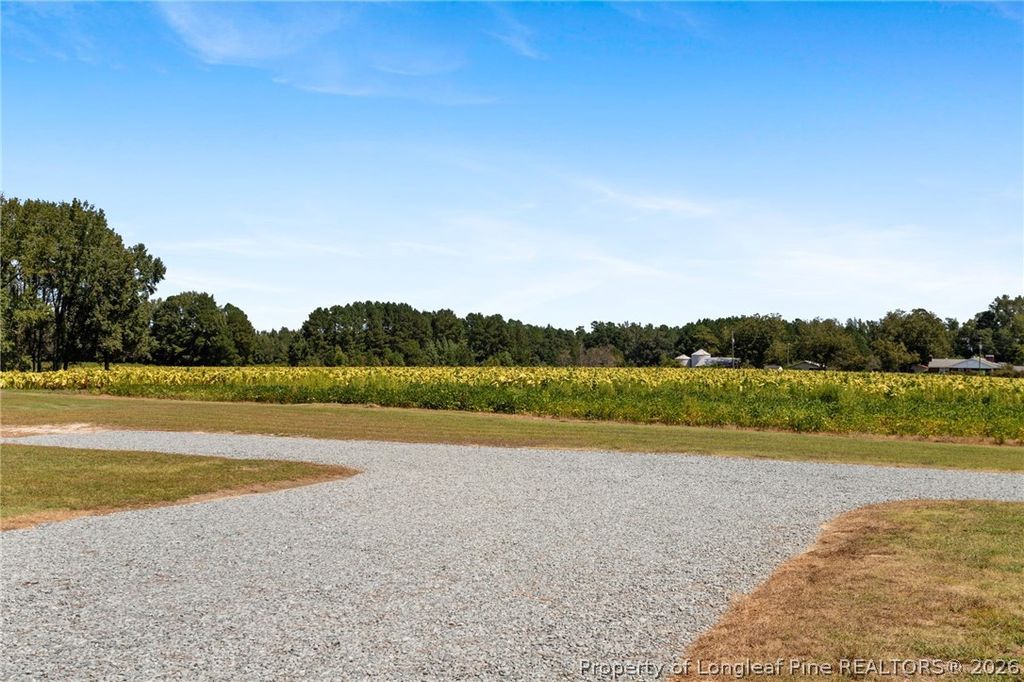 1283 Bethel Baptist Road, Spring Lake, NC 28390 — photo 35