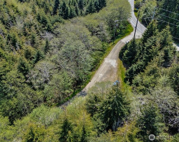 0 Moclips Hill Lane, Moclips, WA 98562