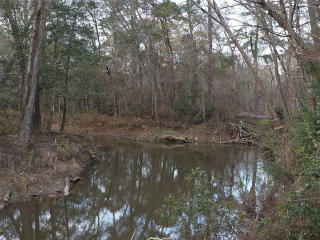 1302 N Lake Dr, Splendora, TX 77372