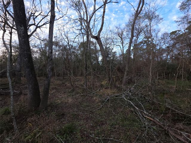 1302 N Lake Dr, Splendora, TX 77372