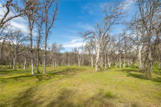 5328 E Whitlock, Mariposa, CA 95338