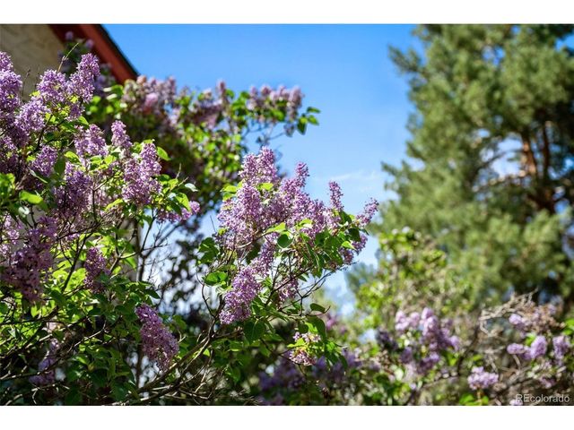 8075 W 32nd Ave, Wheat Ridge, CO 80033