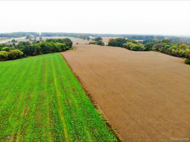 VACANT W Michigan Avenue, Albion, MI 49224