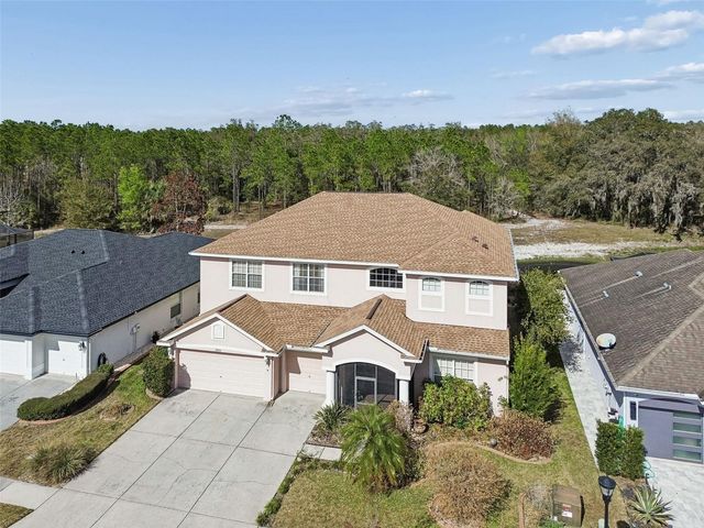 12918 DRAKEFIELD DRIVE, Spring Hill, FL 34610