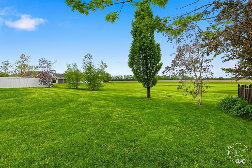 Image 23 of property listing at 1168 Meadow Path, Manteno, IL 60950