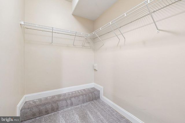 12302 DARTON WOODS LOOP, Bristow, VA 20136