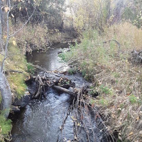 967 Mt Highway 2 W, Whitehall, MT 59759