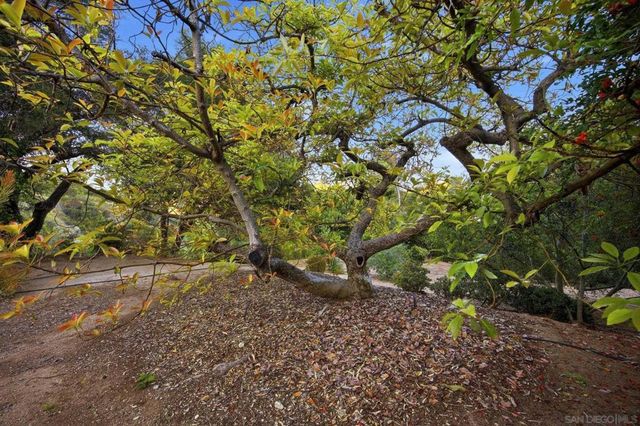 1010 Quail Creek, Fallbrook, CA 92028