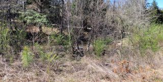 0 Overlook Rd, Dover, TN 37058