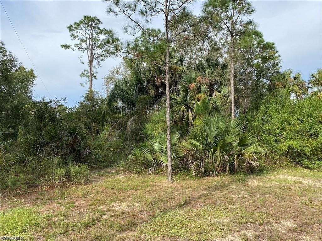 2905 Ashburn ST, LEHIGH ACRES, FL 33972 — photo 4