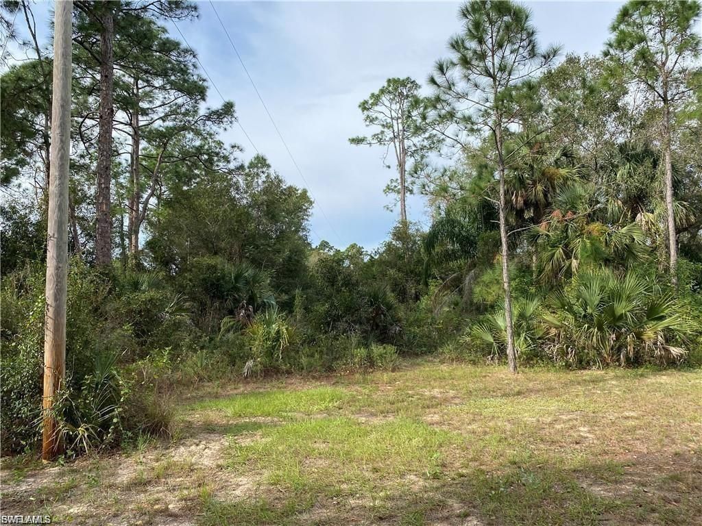 2905 Ashburn ST, LEHIGH ACRES, FL 33972 — photo 5