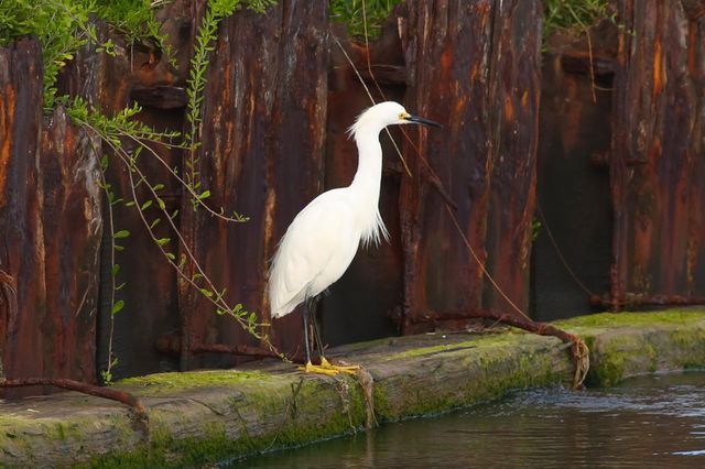 1493 County Road 291, Sargent, TX 77414