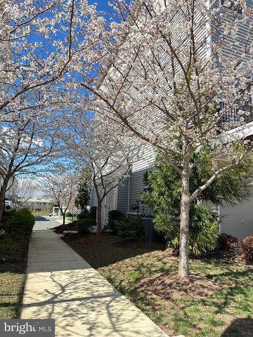 24584 ROSEBAY TER, Aldie, VA 20105