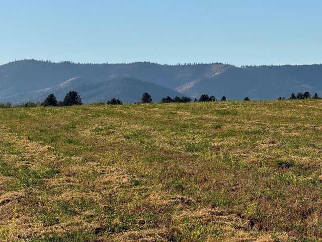 XXXX N N Spotted Rd Rd, Deer Park, WA 99006