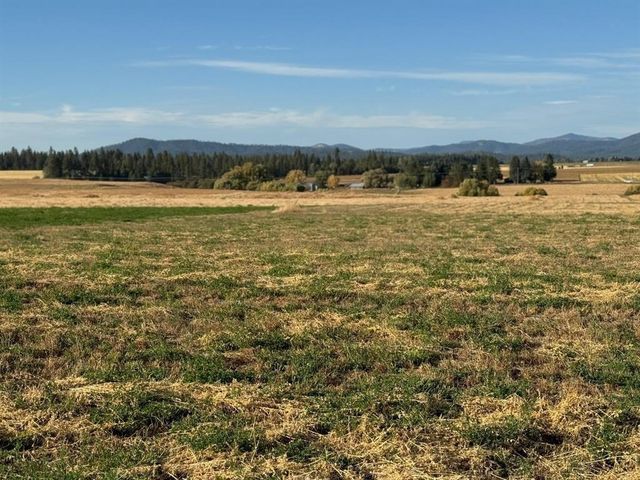 XXXX N N Spotted Rd Rd, Deer Park, WA 99006