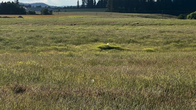 XXXX N N Spotted Rd Rd, Deer Park, WA 99006