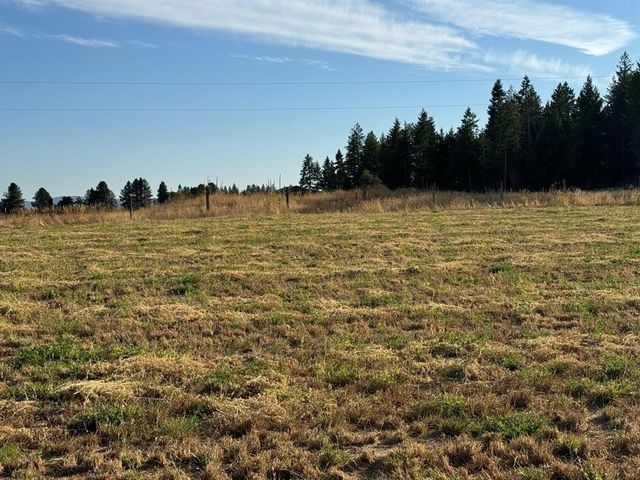 XXXX N N Spotted Rd Rd, Deer Park, WA 99006