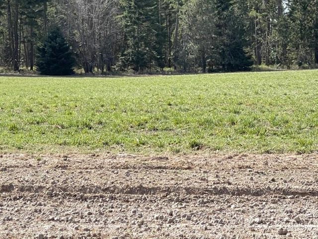 XXXX N N Spotted Rd Rd, Deer Park, WA 99006