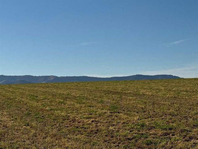 XXXX N N Spotted Rd Rd, Deer Park, WA 99006